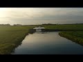 Waterbirds in formation, surface racing / high-speed taxiing (Woerden area, The Netherlands)