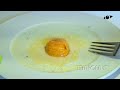 Top 10 Rotting Food Timelapses