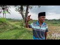 HEBOH..! Maqom Prabu Kian Santang Di Cianjur, Keramat Eyang Gagak Tunggara