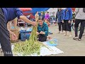 harvest vegetables to sell at market