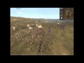 Medieval 2 Total War Multiplayer - Poland (Ars Malleus) vs. Russia (Maksimus)