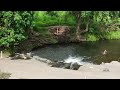 Beautiful creek in Daybro Queensland part 2