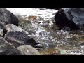 Ocean Waves Sounds And  you feel very relaxed#viral #fyp #kapwing #ocean #foryou #people #relaxing
