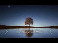 1 Hour Upbeat Background Music Best MBB Music Collection Free Download, No Copyright DC7