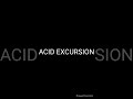 ACID EXCURSION #acid house