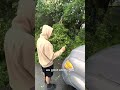 When A Tree Falls On Your Car…