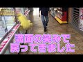 乱獲しすぎて店員に謝罪します【ＵＦＯキャッチャー日記＃２１】