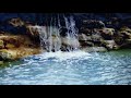 Waterfalls and Birds Chirping/Cascadas de Agua y Sonidos de Pajaros/Soothing Sounds