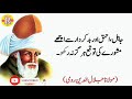 12 Life Changing Quotes By Mulana jalaludden Rumi | Top 12 Quotes By Mulana Rumi | Rizwan YT