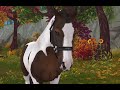 Meet my Horses! | SSO RRP |