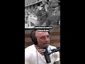 Joe Rogan Watches Hitler on Drugs