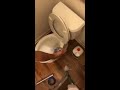 Toilet won't Flush water stays in bowl Easy FIX Solution siphon jets cleanout.