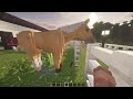 See my filly all grown up and a tour of my new house! - SWEM RRP