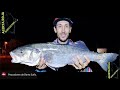 dos vídeos pesca surfcasting Badalona