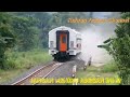 Train hits Gazelle in Indonesia