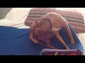 Rednose pitbull in labor stages