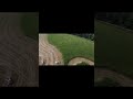 Chopping Corn Silage 2023 Drone Footage