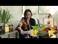 🌼 Top 3 Narcissus/ Daffodil - Chypre Perfume: Ostara Penhaligon, Fate Amouage, Romanza Masque Milano