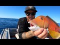 SOLO fishing - CATCH and COOK fish burgers. Best tasting fish in the sea?