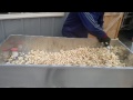 Kettle Corn Recipe - How to make kettle corn