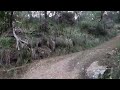 Virtual Run Trail - Trail Run 4K - Treadmill Workout -Cataract Gorge - Scenery Tasmania