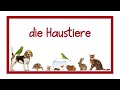 Die Haustiere