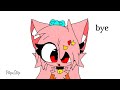 Pinky_kit and acid_kit traced me