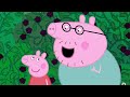 Peppa Pig's Hot and Cold Challenge Day 🐷 🥶 🥵 Adventures With Peppa Pig