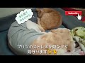 【捨て猫】捨てないで下さい！ヤンチャで手がかかる猫達が仲良く寝ています。プリンと信長のその後。