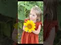 Jarrettsville Sunflowers 🌻 (September 2022)