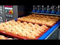 27 Satisfying Videos ►Modern Technological Food Processors Operate At Crazy Speeds Level 94