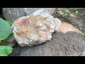 Delightful Rock and Crystal Garden