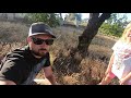 Catching Squirrels with the Squirrelinator  | These California Ground Squirrels Have to Go!