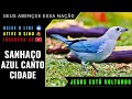 UM DOS MELHORES CANTOS O SANHAÇO CIDADE