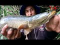 Lure fishing video Detecting a giant snakehead fish but the ending is a bit sketchy @TRUNG PLEIKU