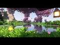 cherry blossom season 🌸| minecraft music for sleep/study/relaxing