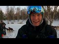 IS DOG SLEDDING ETHICAL? The Bucket List Experience We Now Regret