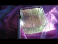 How to Hatch Brine Shrimp Eggs with NO Equipment  | NO Air Pump Easy Setup