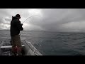 Fishing from a boat on the biggest lake in Iceland. Big Brown Trout.