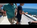 Ferry Marbella - Puerto Banús With Me + Photography POV (4K)