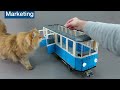 Cat Sized Lego Train