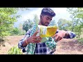 Aji kapa jagalu au Barsha hela ll New sambalpuri vlogs