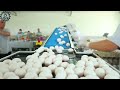 Satisfying Videos Food Processing Equipment That At Another Level ▶143