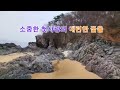 이미자ㅣ빙점ㅣ노래가사 첨부ㅣ운전중 기분전환 ㅣ잠들기전 수면곡ㅣ영흥도 십리포 해수욕장 둘레길 겨울영상