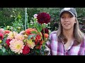 Make Cut Dahlia Flowers Last Longer with These Tips! // How to Harvest and Condition Dahlias