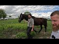 Incredible Insight Into Amish Culture - Part 1