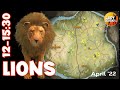 Find YOUR Diamond LIONS GUIDE 2022! 💎 - Call of the Wild