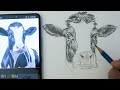 Draw and Shade a Cow Step by Step