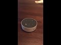 Alexa goes crazy