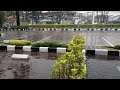 Super heavy rain in the beautiful parking lot park | Strong Thunderstorms | ASMR